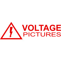 Voltage Pictures